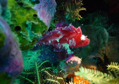 Three Gili Islands Tour Indonesia