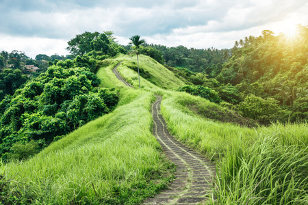 Off the Beaten Path