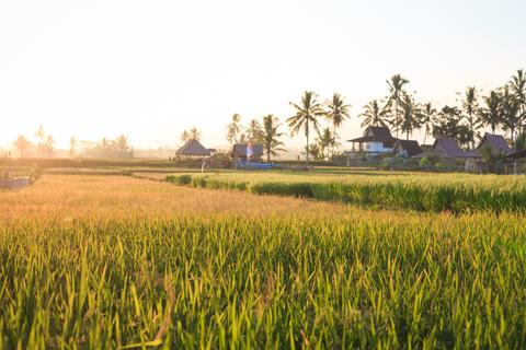 Kerambitan Indonesia