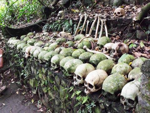 Skulls and Bones Tours