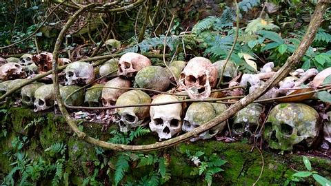 Skulls and Bones Tours Indonesia