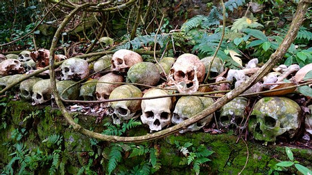 Skulls and Bones Tours photo 3