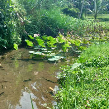 Trekking Hidden Paths photo 4
