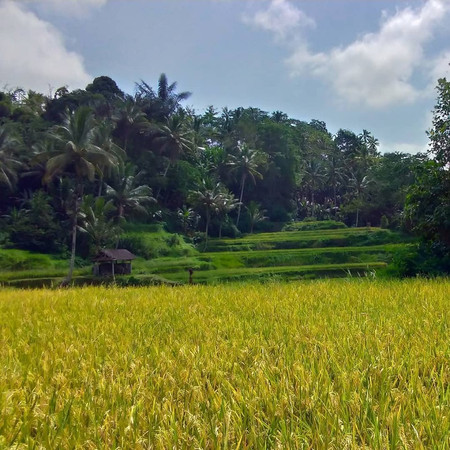 Trekking Hidden Paths photo 3