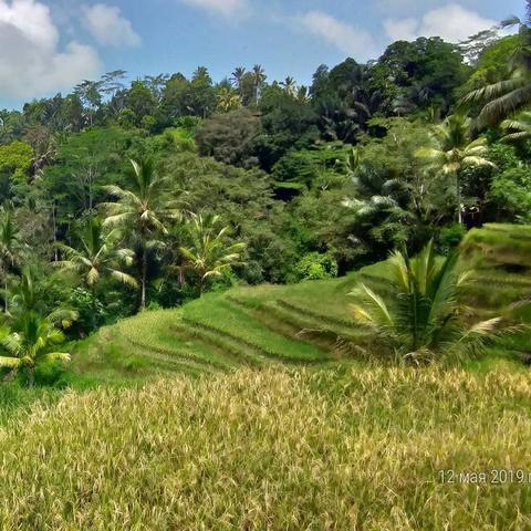 Trekking Hidden Paths Indonesia