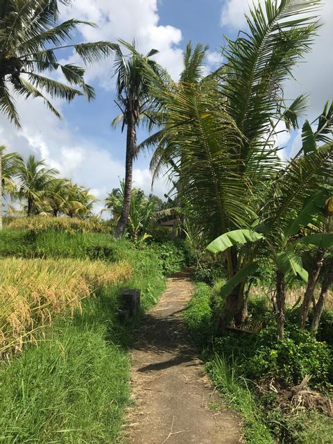 Trekking Hidden Paths Indonesia