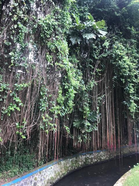 Trekking Hidden Paths Indonesia