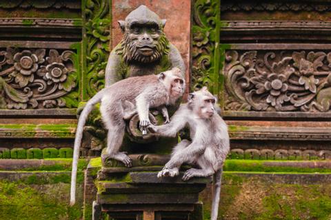 Trekking Hidden Paths Indonesia