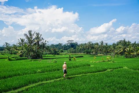 Trekking Hidden Paths