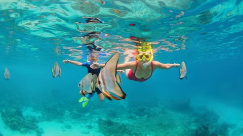 Menjangan Island Indonesia