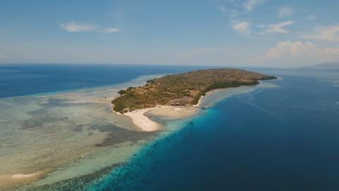 Menjangan Island Indonesia