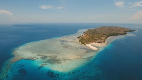 Menjangan Island Indonesia