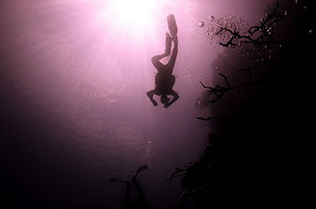 Scuba Diving
