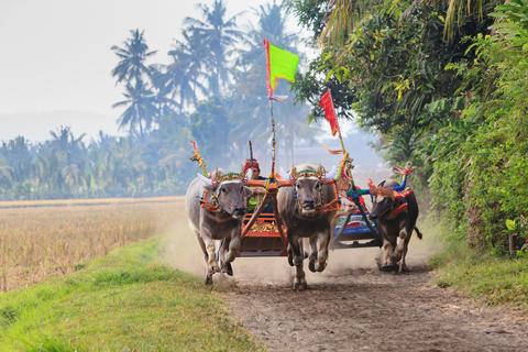 Negara Indonesia