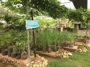 R.O.L.E Community Skills Center Indonesia