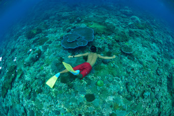Beach Trips in Indonesia