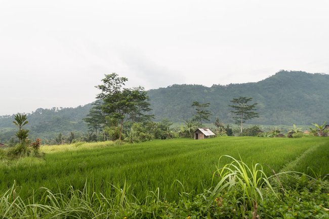 Sideman, Indonesia Tours and Activities