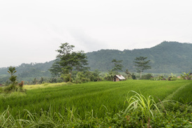 Off the beaten track in Sideman