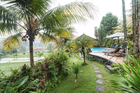 Three Hours of Morning or Afternoon Trekking Indonesia