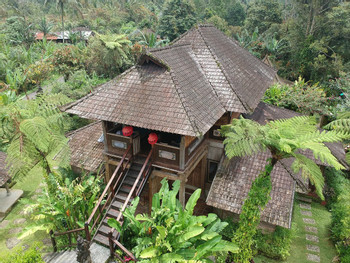 Bali Mountain Retreat photo 5
