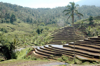 Bali Mountain Retreat photo 4