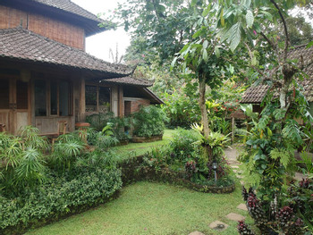 Bali Mountain Retreat photo 2