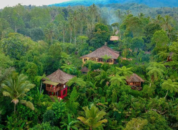Sarinbuana Eco Lodge photo