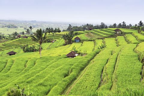 Tabanan Indonesia