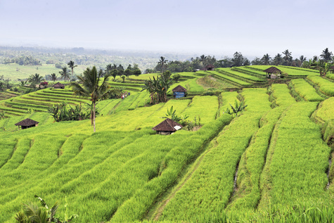 Tabanan