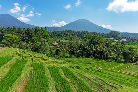 Tabanan Indonesia