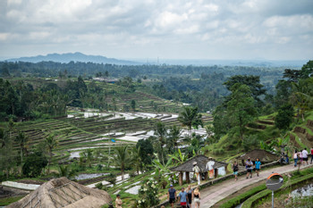 Brahman Blessing & Green Lungs of Bali