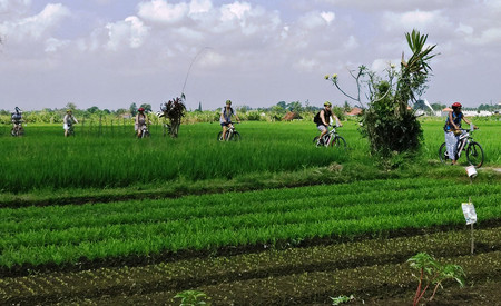 Brahman Blessing & Green Lungs of Bali