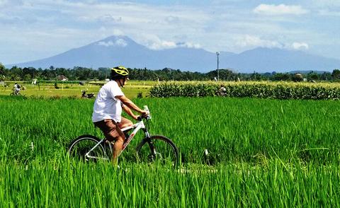 Brahman Blessing & Green Lungs of Bali