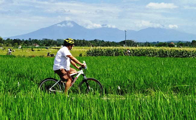 Brahman Blessing & Green Lungs of Bali