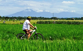 Green Lungs of Bali & Brahman Blessing