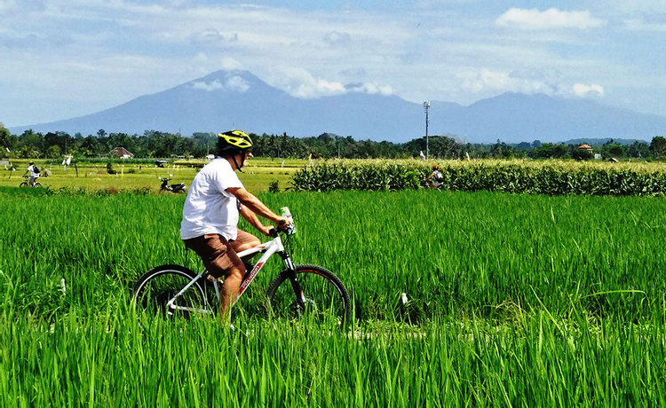 Brahman Blessing & Green Lungs of Bali photo