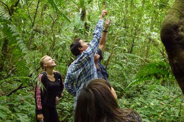 Tabanan Rainforest Trekking