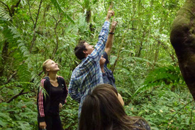Tabanan Rainforest Trekking