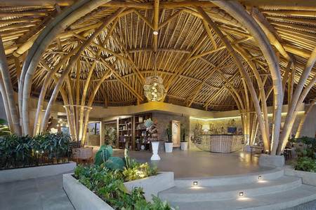 Amarea Ubud photo 3