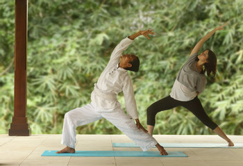 Alaya Resort Ubud photo 4