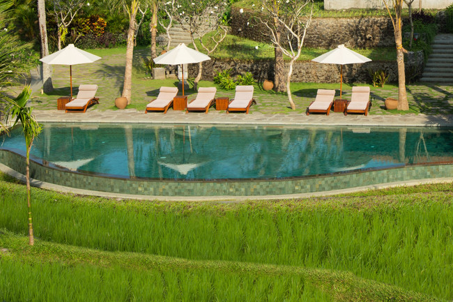 Alaya Resort Ubud photo