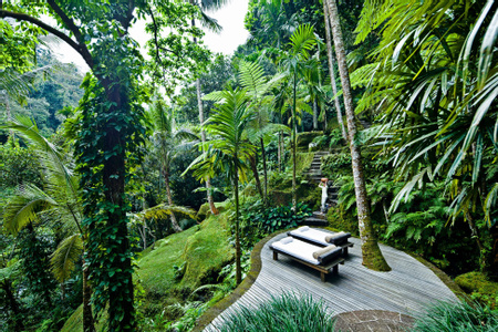 Como Sambhala Estate