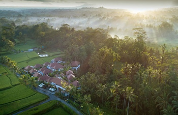 Dedary Kriyamaha Ubud Villas photo 5