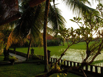 Green Field Hotel and Restaurant  photo 5