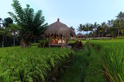 Mathis Retreat Indonesia