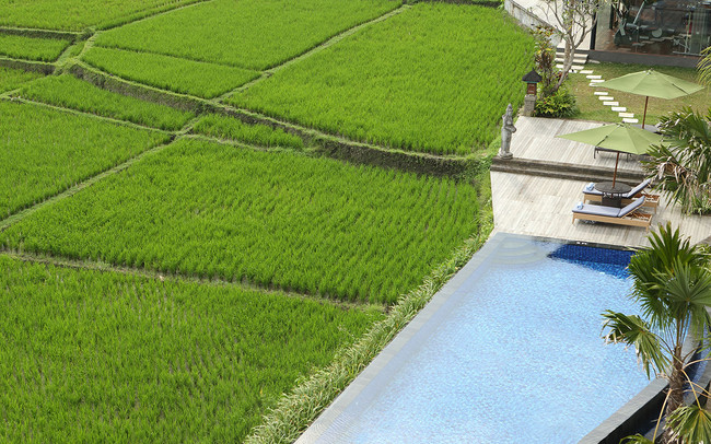 Plataran Ubud Hotel & Spa  photo