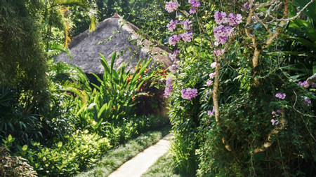 A Day in The Life of a Balinese Farmer