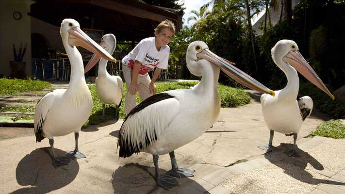 Bali Bird and Reptile Park 