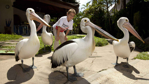 Bali Bird and Reptile Park
