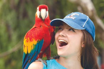 Bali Bird and Reptile Park  photo 5